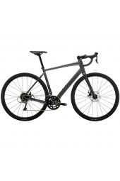 Trek Domane AL 2 Disc /2024