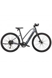 Trek Dual Sport+ 2 Stagger /2023