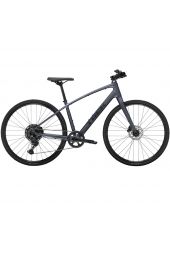 Trek FX 3 siva ,velikost L, XL in XXL /2025 - Naročen, dobava marec 2025